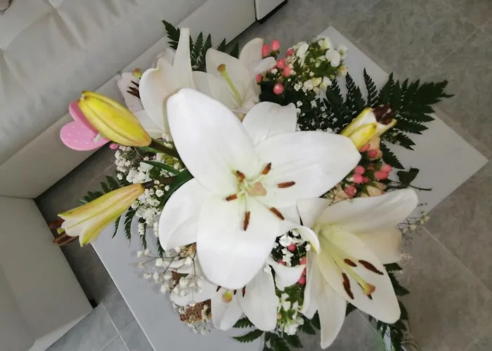 Sao Rafael Beach Flat Lejlighed *