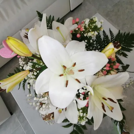 Sao Rafael Beach Flat Apartment *